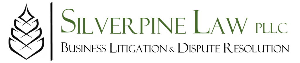 Business Litigation and Dispute Resolution Website by Nine Isle Solutions